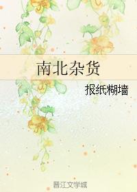 南北杂货晋江文学城