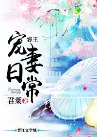 睿王宠妻日常无错版