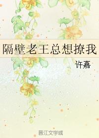 隔壁老王总想撩我txt盘