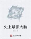 史上最强的大脑书 pdf