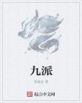 九派天下支付有限公司是什么app