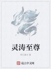 灵涛股权投资基金(上海)有限公司