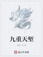 九重天是什么东西