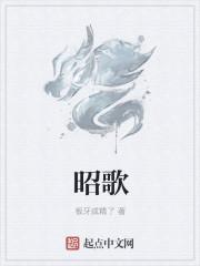 昭歌油烟机怎么样