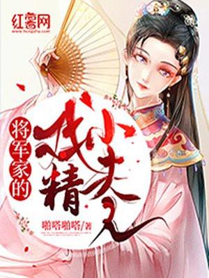 将军的小夫人电视剧