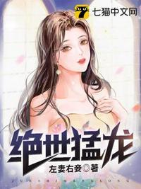 绝世猛龙左妻右妾