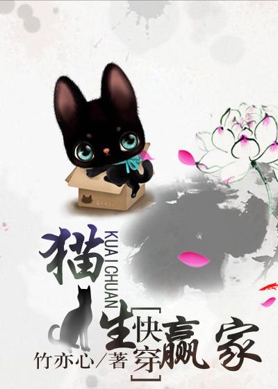 猫生赢家[快穿