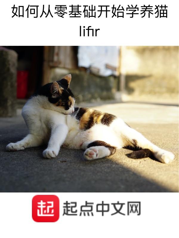 养猫教学