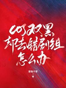 cos双黑穿越原著