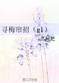 寻梅帘招gl百度