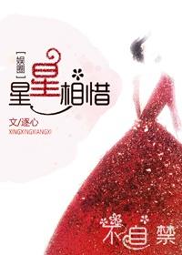 星星相惜txt夏端