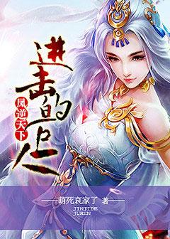 凤逆天下:进击的丑后