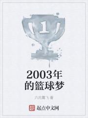 2003年的篮球梦